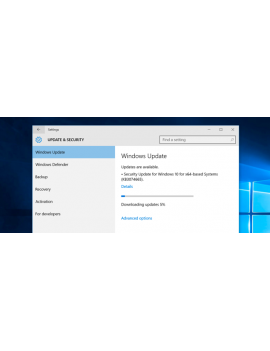 Windows 10 Pro Key, - Online Activation
